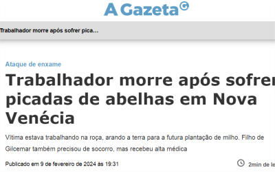 Trabalhador morre após sofrer picadas de abelhas em Nova Venécia