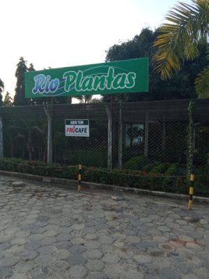 RIO PLANTAS